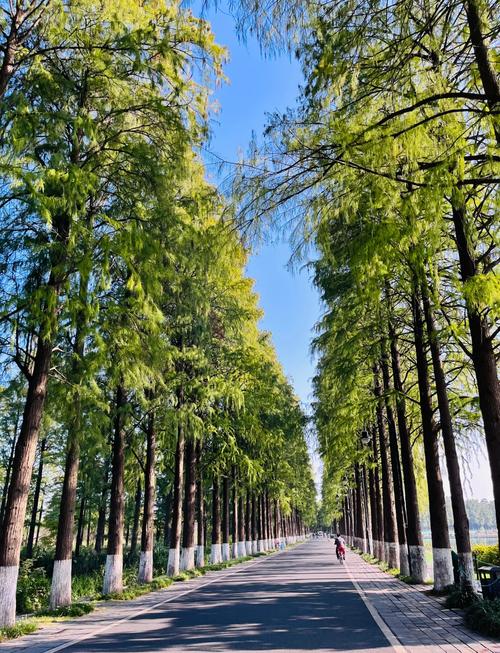 武汉休闲哪里好_武汉休闲游_武汉市内休闲好去处